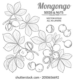 mongongo vector set on white background