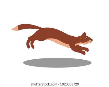 Mongoose in Action - Cartoon Vector Image
