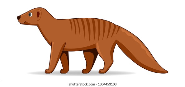 Mongoose animal standing on a white background. Cartoon style vector illustration