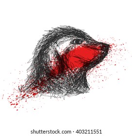 Mongoose hand drawn on white background