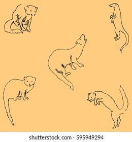 Mongoose. Sketch by hand. Pencil drawing by hand. Vector image. The image is thin lines. Vintage colors