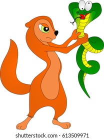mongoose with snake