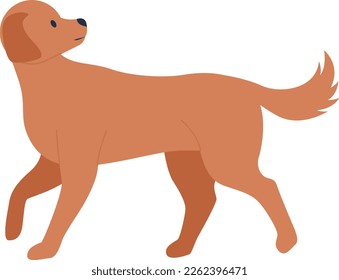 Mongrel dog walking and looking back semi flat color vector character. Mixed breed animal. Editable full body animal on white. Simple cartoon style illustration for web graphic design and animation