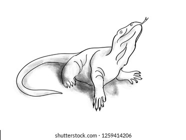 2,900 Monitor lizard isolated Images, Stock Photos & Vectors | Shutterstock