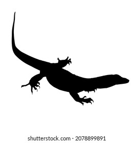Monitor Lizard Silhouette on White Background. Isolated Vector Animal