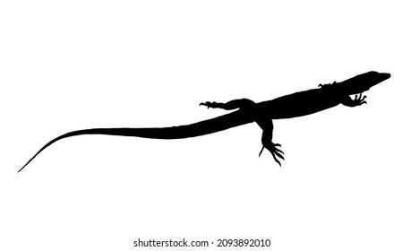 Monitor Lizard Silhouette on White Background. Isolated Vector Animal