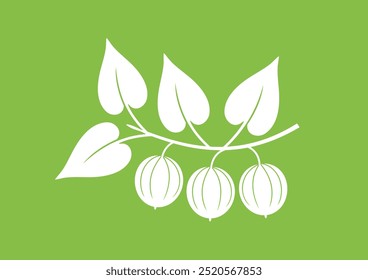 Monk fruit logo. Isolated monk fruit on green background