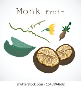 Monk Fruit Siraitia Herb Plant Vector Traditional