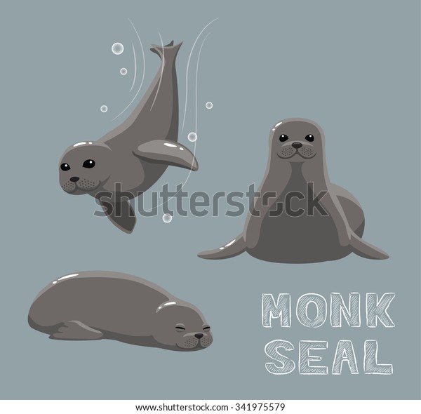 Monk Seal Cartoon Vector
Illustration
