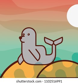 monk seal sea life cartoon