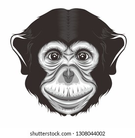 monkay face cute full vector 