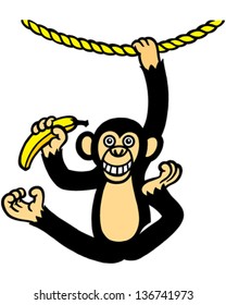 Monkey