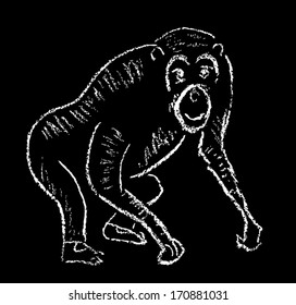 Monkey