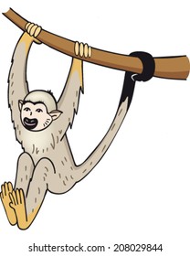 monkey