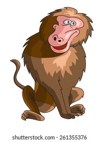 monkey