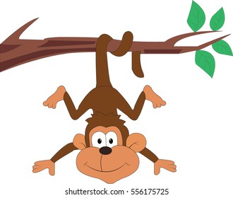 Monkey Hanging From Tree Images Stock Photos Vectors