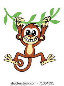 Monkey