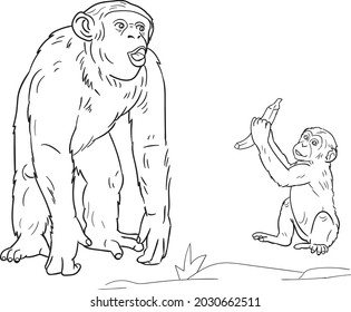 Monkey. Adult and child. Coloring pages.