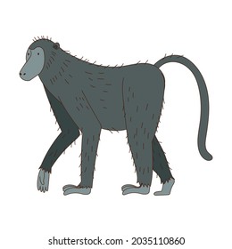 Monkey as African Animal with Long Tail Walking Vector Illustration