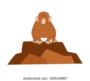 Monkey as African Animal Sitting on Rock Vector Illustration