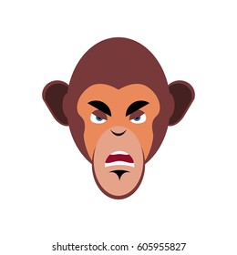 Monkey angry Emoji. marmoset aggressive emotion isolated. Chimpanzee face

