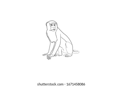 Monkey Animal Cartoon Vector Outline Illustration