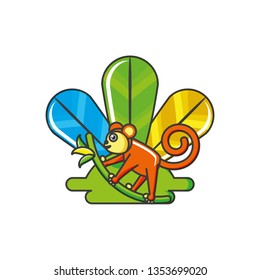 monkey animal with feathers
