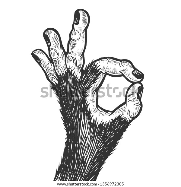 Monkey Animal Hand Ok Gesture Sketch Stock Vector Royalty Free