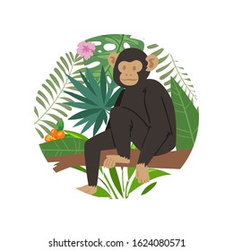 Monkey animal marmoset on tropical tree with palm monstera leaves vector illustration. Jungle exotic monkey marmoset on floral background isolated on white. Zoo banner element in cirlce.