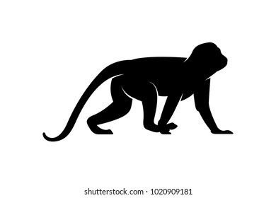 monkey animal silhouette