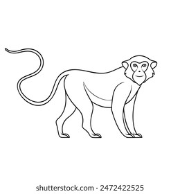 
Monkey animal Single continuous minimal line art illustration