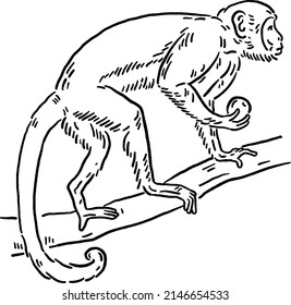 Monkey animal symbol Zodiac year Hand drawn Line art Illustration