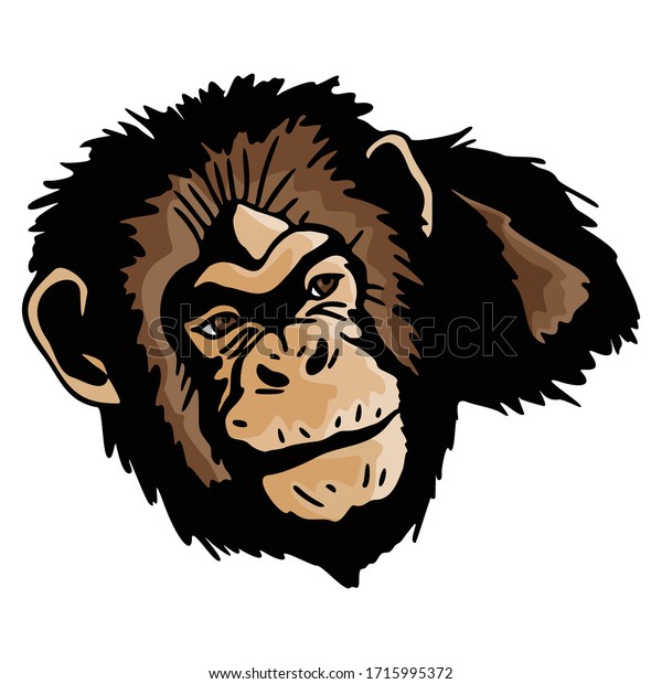 Monkey Animal Vector Illustration Template Icon Stock Vector (Royalty ...