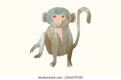Monkey, Animal wildlife watercolor vector illustration.
