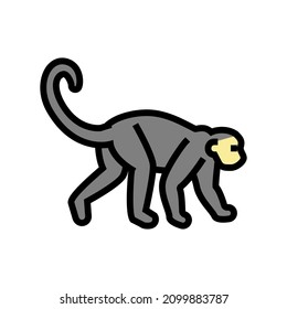 monkey animal in zoo color icon vector. monkey animal in zoo sign. isolated symbol illustration