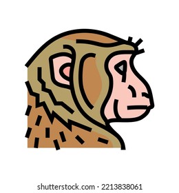 monkey animal zoo color icon vector. monkey animal zoo sign. isolated symbol illustration
