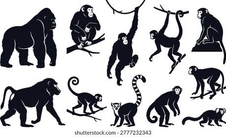 Monkey and ape silhouettes, gorilla, chimpanzee, orangutan, baboon, lemur, and marmoset, wild primate collection, jungle animals, wildlife nature illustration, primates.