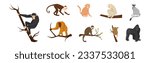 Monkey as Arboreal Ape with Long Tail Sitting on Branch Vector Set