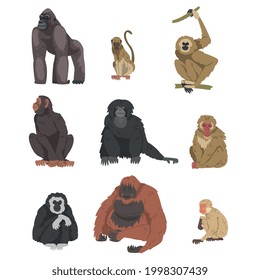 Monkey as Arboreal Primate and Simian Mammal Vector Set