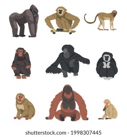 Monkey as Arboreal Primate and Simian Mammal Vector Set