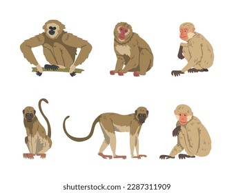 Monkey as Arboreal Primate and Simian Mammal Vector Set