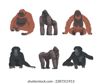 Monkey as Arboreal Primate and Simian Mammal Vector Set