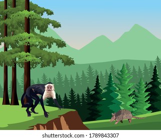 monkey with arrmadillo animals wild in the jungle vector illustration design