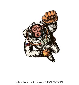 Monkey astronaut flying up. Chimpanzee spaceman character. Astronomical galaxy space. Funny cosmonaut explore adventure. Hand drawn Engraved old monochrome sketch. Vector illustration for t-shirt 