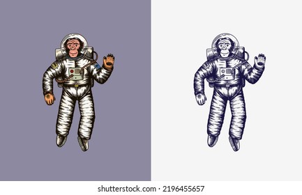 Monkey astronaut waving hand. Chimpanzee spaceman cosmonaut character. Fashionable animal. Hand drawn Engraved old monochrome sketch. Vector illustration for t-shirt, tattoo 