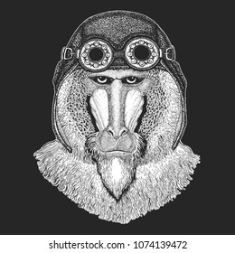 Monkey, baboon, dog-ape, ape Hand drawn image for tattoo, emblem, badge, logo, patch Cool animal wearing aviator, motorcycle, biker helmet.