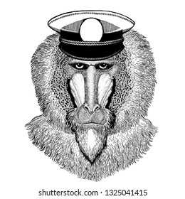 Monkey, baboon, dog-ape, ape Hand drawn image for tattoo, emblem, badge, logo, patch