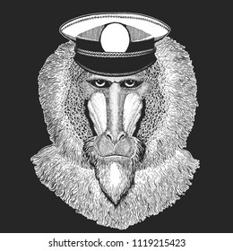 Monkey, baboon, dog-ape, ape Vector print for children. Capitan, pirate animal. Brave sailor. Design for kindergarten, school kids clothing, t-shirts.