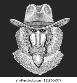 Monkey, baboon, dog-ape, ape. Wild west. Traditional american cowboy hat. Texas rodeo. Print for children, kids t-shirt. Image for emblem, badge, logo, patch.