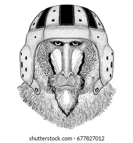Monkey, baboon, dog-ape, ape Wild animal wearing rugby helmet Sport illustration